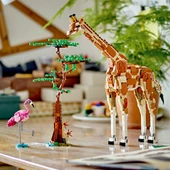 LEGO Creator 31150 Vahşi Safari Hayvanları (780 Parça) - 7