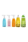 Viking Premium 5'li (Mutfak,Banyo,Çok Amaçlı ,Wc Temizleyici,Bulaşık Deterjanı Nergis&Bergamot) Paket 750 ml - 1