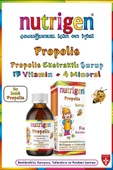 Nutrigen Propolis Şurup Kış 200 ml - 2