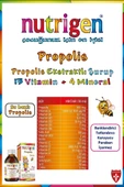 Nutrigen Propolis Şurup Kış 200 ml - 4