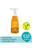 Viking Premium Mutfak Spreyi Turunç Bahçesi 750 ml 4 Adet - 2