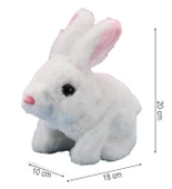 Yürüyen, Sesli Hareketli Sevimli Peluş Bunny Tavşan - Sweet Bunny thumbnail 7