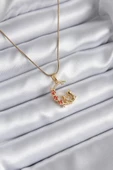 MuI MuI 316L Çelik Gold Renk Hilal Kedi Model Zirkon Taşlı Detay Kadın Kolye - 1