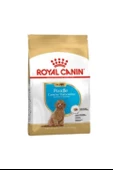 Royal Canin® Puppy Poodle Yavru Köpek Maması 3 Kg - 1