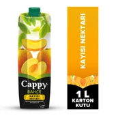 Cappy Kayısı Nektarı 1 lt X 12 Adet - 1