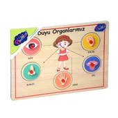 166/167 Onyıl, Ahşap Tutmalı Organlar - 1