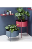 TRENDESK 2 li Mat Kırmızı-mavi metal galvaniz saksılık çiçeklik çiçek standı - 1