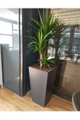 TRENDESK Galvaniz Konik Saksı, Çiçeklik ,çiçek Standı 30x20x60 Texture Mat Siyah - 1