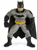 Batman Yüzme Arkadaşları - 6067008 - 4