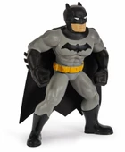 Batman Yüzme Arkadaşları - 6067008 - 3