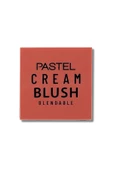 PASTEL Profashion Cream Blush 42 thumbnail 1