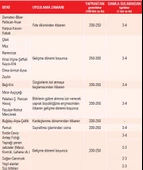 Gübretaş 20.20.20 NPK Ağaç Bitki Meyve Sebze Çiçek Gübre 1 KG thumbnail 2