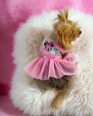 Pinky Minnie Tütülü Köpek Elbisesi, Kıyafeti Tutu - 2