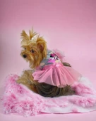 Pinky Minnie Tütülü Köpek Elbisesi, Kıyafeti Tutu - 3