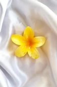 Lotus Çiçeği Yeni Trend Kadın Mandal Toka Büyük Boy 8 cm - 1