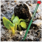 TFA Toprak Termometresi - 5