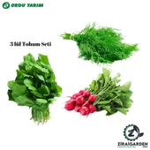 Bursa Tohum Bt Çiçek Dereotu-Cherry Belle Fındık Turp-Bu-Ter Tere Otu 3lü Tohum Seti - 1