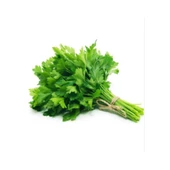 Bursa Tohum Maydanoz D.Gaint İtaliana İri Yaprak 25Gr 5 Paket - 1