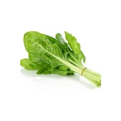 Bursa Tohum Bt Yeşim Pazı 25Gr 5 Paket - 1