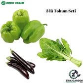 Bursa Tohum Aydın Siyahı 55 Patlıcan- Biber Kandil Dolma - Bt Yeşim Pazı 3lü Tohum Seti - 1