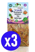 Organik Ruşeymli Sebzeli Bebek Makarnası Tel Şehriye 250 gr 3 Adet Süt ve Yumurta İçermez - 1