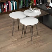 Zigon Sehpa Siyah Tel Ayak Gümüş Beyaz 1215 thumbnail 2