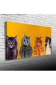 Yavru Kediler Canvas Tablo (60x120) - 1