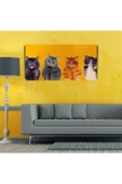 Yavru Kediler Canvas Tablo (60x120) - 3