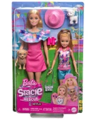 Barbie ve Stacie Kız Kardeşler 2li Paket HRM09 - 1