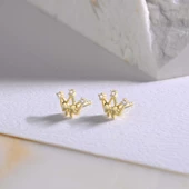 14 Ayar Altın Taşlı Taç Küpe 0,90 gr - 1