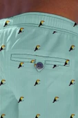 Mint Su İtici Özellikli Dijital Baskılı Erkek Deniz Şort Mayo - 167-Mint thumbnail 3
