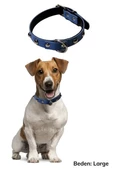 Yumuşak Dokulu Deri Köpek Gezdirme Boyun Tasması (Large) - 4