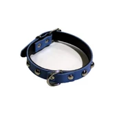 Yumuşak Dokulu Deri Köpek Gezdirme Boyun Tasması (Large) - 1