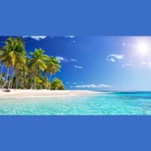 Palmiye Ağaçlı Ada Tablosu, Canvas Tablo 60x120 thumbnail 2