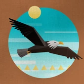 Kartal Figürü Kanvas Tablo 50 x 70 thumbnail 2