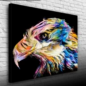 Çok ve Canlı Renklerde Dekoratif Şahin Kanvas Tablo 50 x 70 thumbnail 1