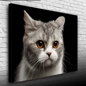 Şirin Gri Kedi Kanvas Tablo 50 x 70 thumbnail 1