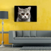 Şirin Gri Kedi Kanvas Tablo 50 x 70 thumbnail 2