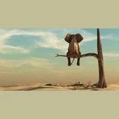 Fil, Çöl ve Kuru Ağaç Retro Kanvas Tablo 60X120 thumbnail 2