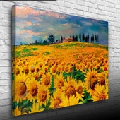 Ayçiçeği, Gündöndü, Günebakan Tarlası Kanvas Tablo 50 x 70 - 1