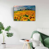 Ayçiçeği, Gündöndü, Günebakan Tarlası Kanvas Tablo 50 x 70 - 2