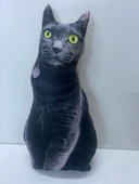 NİSHEV 3D Dijital baskılı kedi yastık EGE KEDİSİ - 1