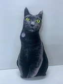 NİSHEV 3D Dijital baskılı kedi yastık EGE KEDİSİ - 2