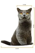 Nishev 3D Dijital Baskılı Dekoratif Kedi Yastık BRİTİSH SHORTHAİR - 1