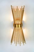 ST00 Dekoratif Kirpi Duvar Aplik Gold E27 Duy - 2