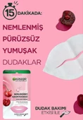 Garnier Dudak Nemlendirici Bakım Maskesi 5 gr - 3