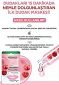 Garnier Dudak Nemlendirici Bakım Maskesi 5 gr - 5