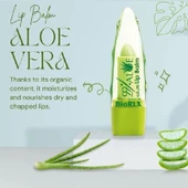 BioRLX %99 Aloe Vera Lip Balm thumbnail 3