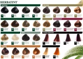 Herbatint Saç Boyası 2N Brown Kahverengi 150 ml - 4