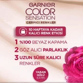 Garnier Color Naturels 7.12 İnci Kumral Saç Boyası - 3